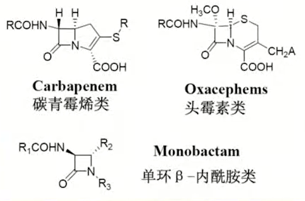 1598837886492593xWei.png